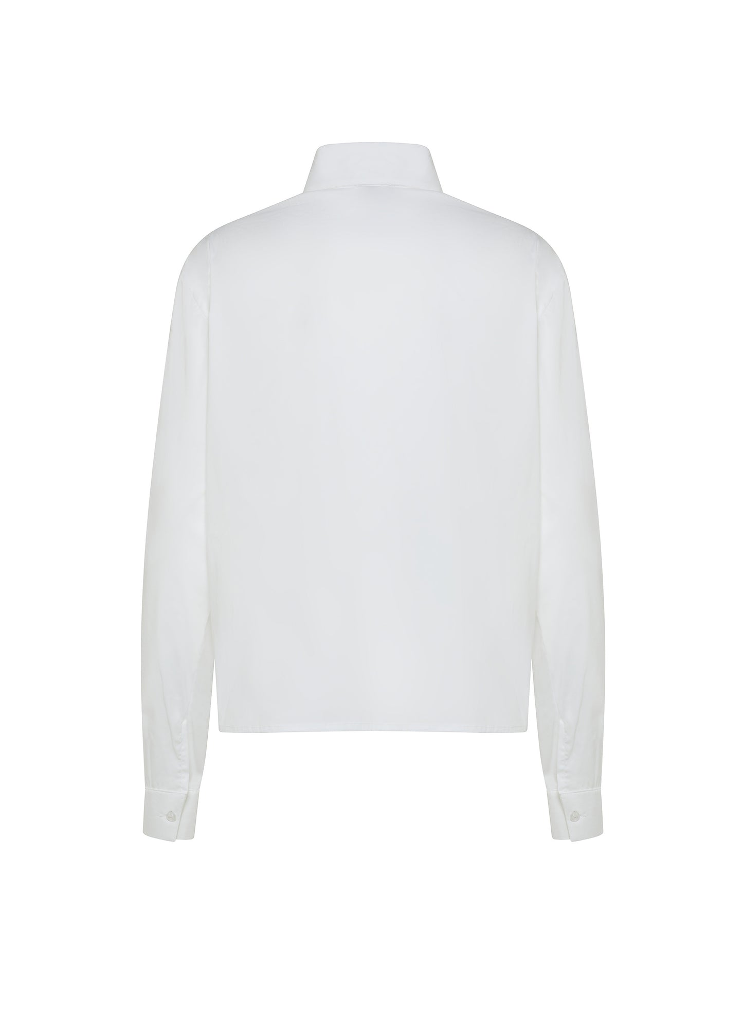 Pleated Shirt